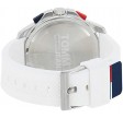 Tommy Hilfiger Silver Dial TH1791764